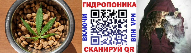 Cannafood конопля  Купить где  Динская 